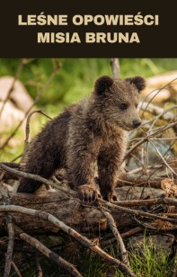  Obrazek dla: Leśne Opowieści Misia Bruna